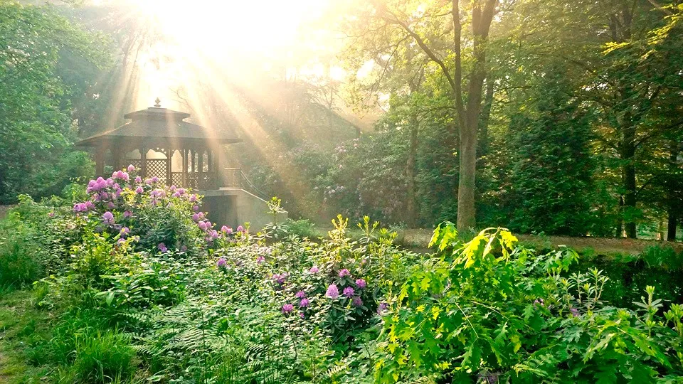 A beautiful tranquil garden setting featuring a charming wooden gazebo with intricate lattice work, surrounded by abundant green foliage and vibrant purple flowers, with golden sun rays creating an atmospheric effect
